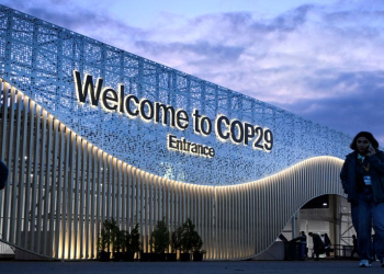 COP29 agrees framework for international carbon market standards